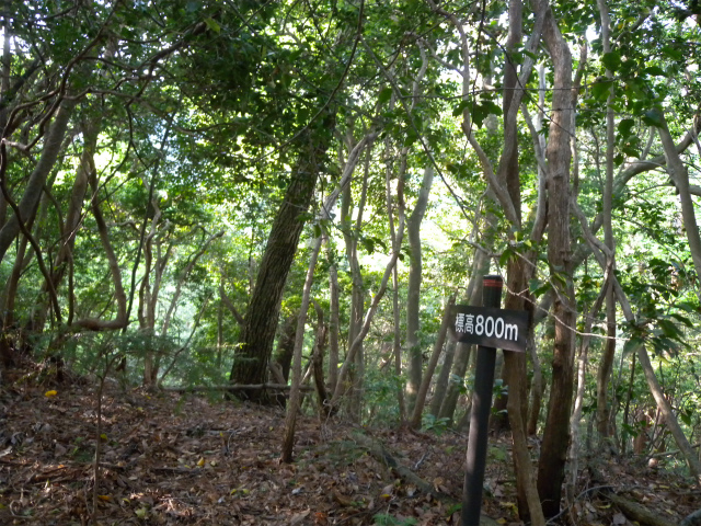 e0272335_2192632.jpg