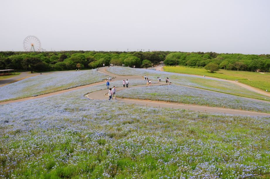 c0147241_111766.jpg