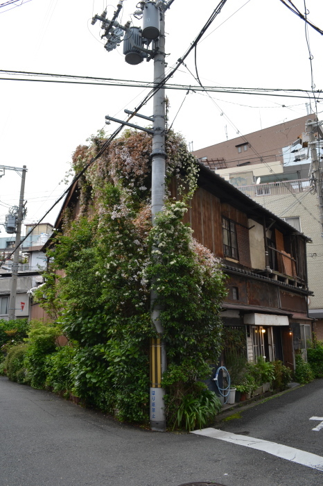d0027244_09110537.jpg