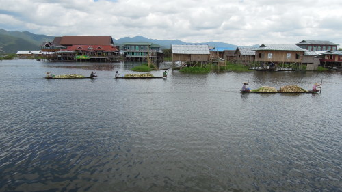f0055745_11003891.jpg