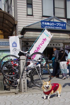 f0045846_9172597.jpg