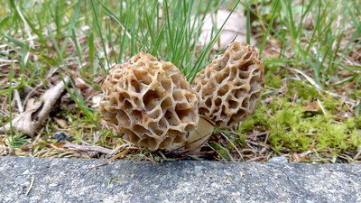 b0126549_17401259.jpg