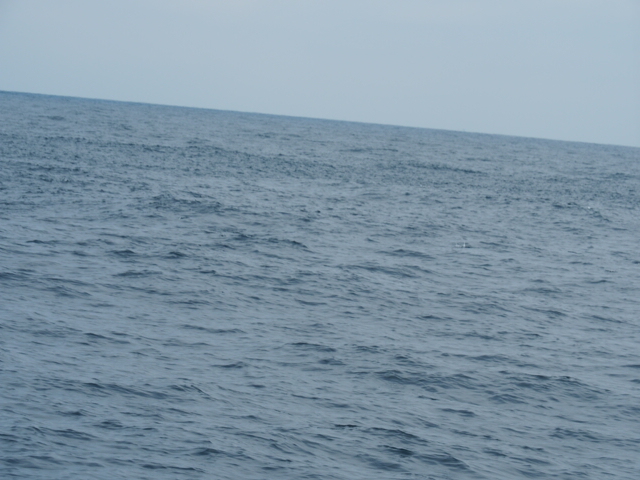 a0248152_16594121.jpg