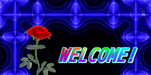 b0133752_20364711.gif