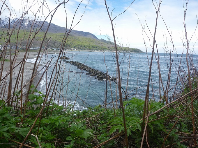 c0351262_17523378.jpg