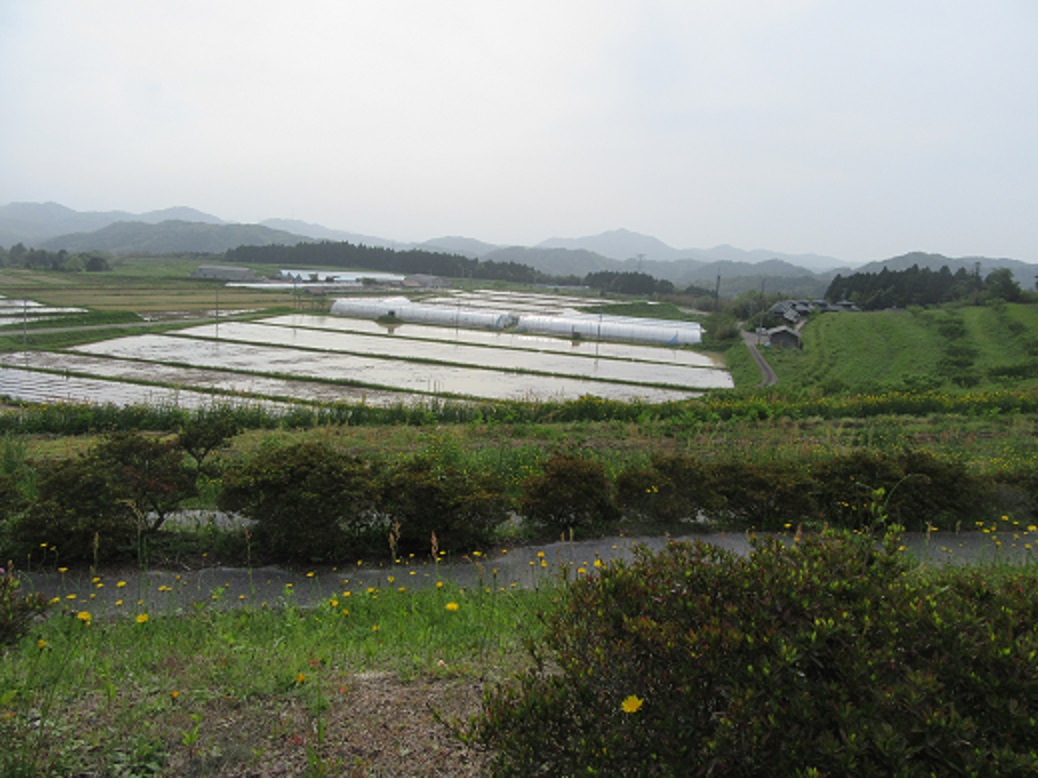 f0113862_20425131.jpg