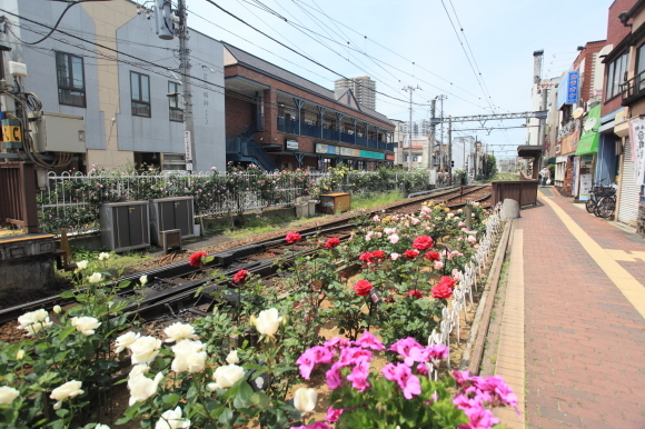 b0228966_12113108.jpg