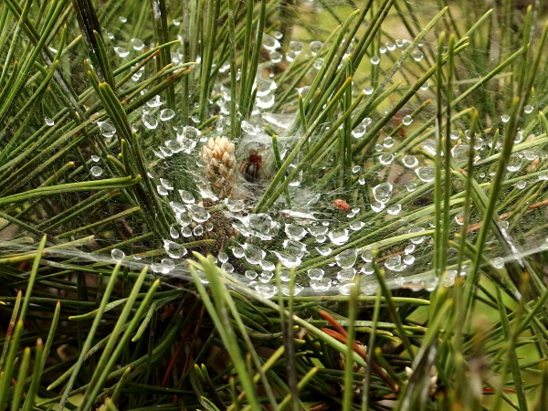 a0347276_10284181.jpg