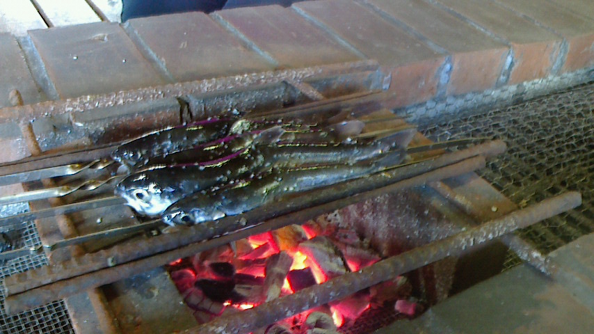 f0131183_1354513.jpg
