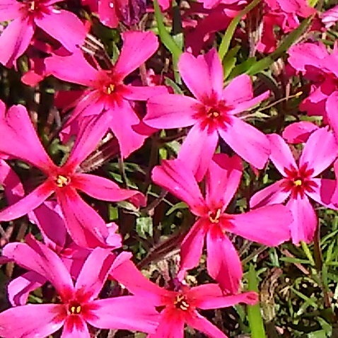 d0081485_1524541.jpg