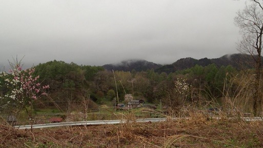 a0130586_1941191.jpg