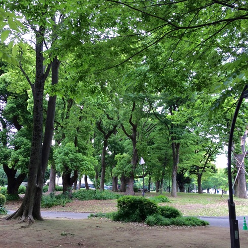a0326292_1165973.jpg