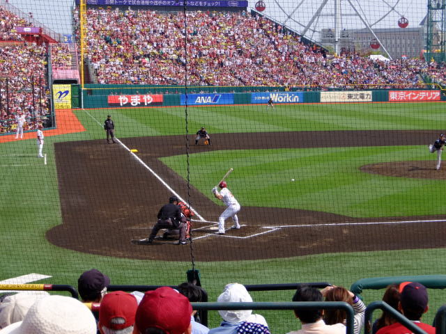 f0100593_20071399.jpg
