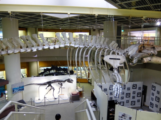 f0100593_20072391.jpg