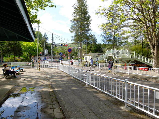 f0100593_20075133.jpg