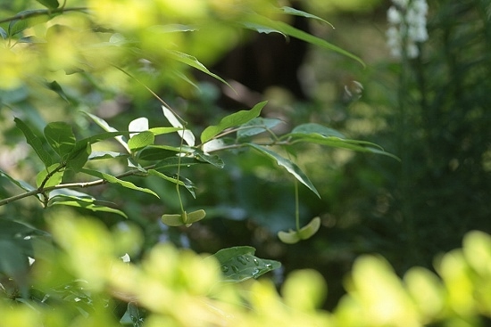 e0209997_1350479.jpg