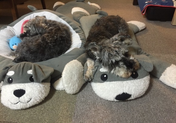 b0188998_13100838.jpeg