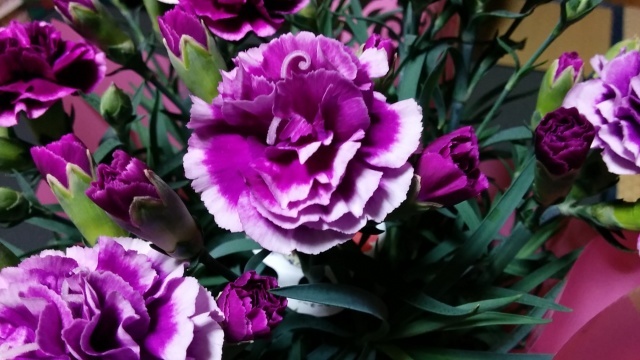 c0007502_23282671.jpg