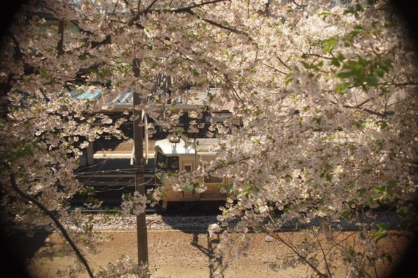 c0202705_19321352.jpg