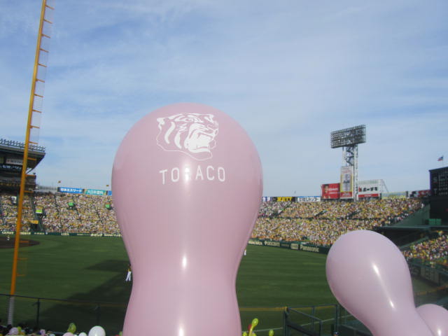 a0100706_2322769.jpg