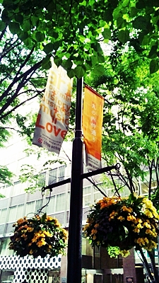 e0098908_1733279.jpg