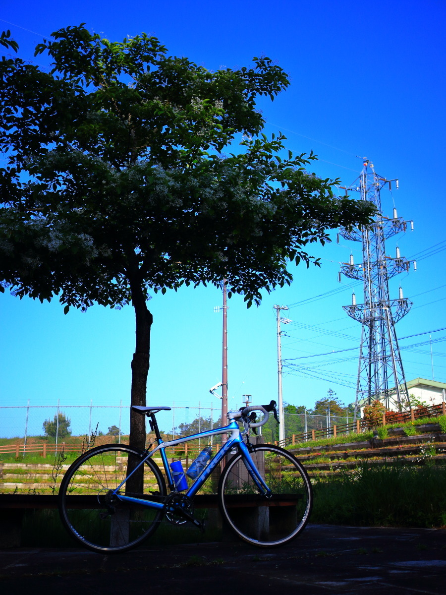 e0009009_17042886.jpg
