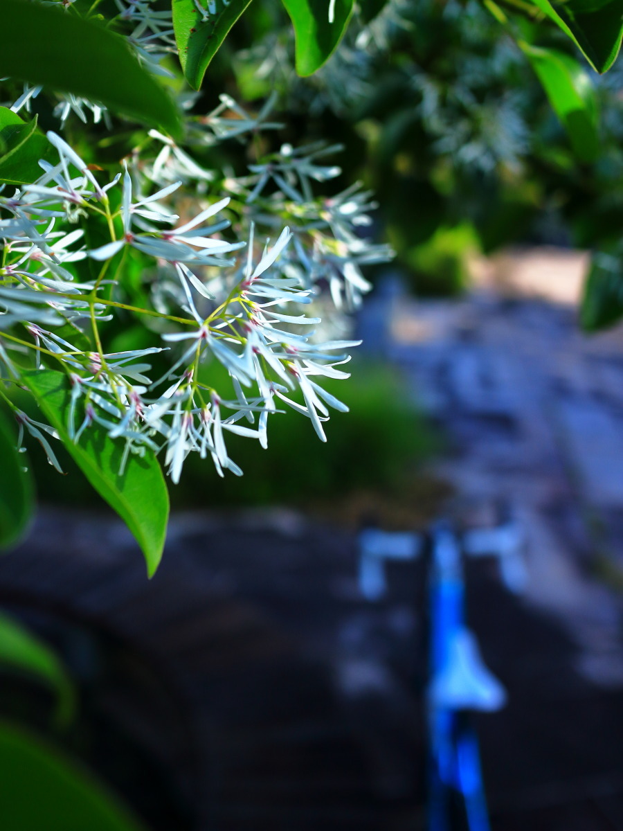 e0009009_17044213.jpg
