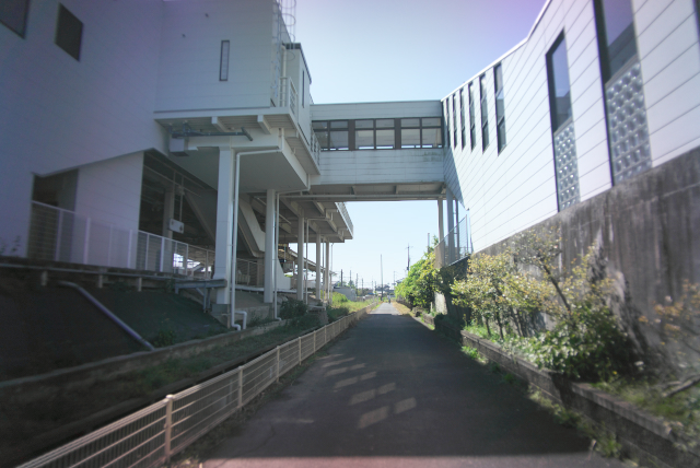 d0143011_2112859.jpg