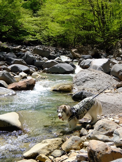 b0207615_22570982.jpg