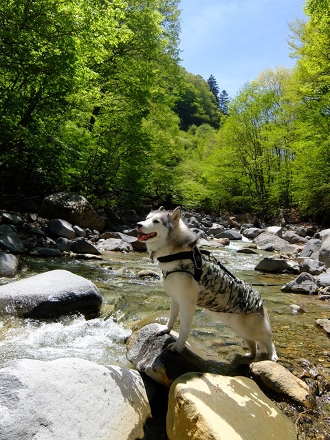 b0207615_22571171.jpg