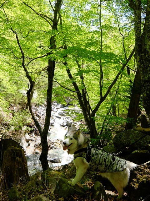 b0207615_22571307.jpg