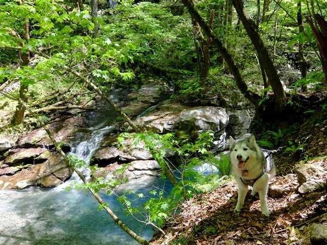 b0207615_22571897.jpg