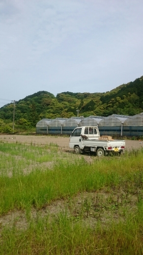 b0187620_20461753.jpg