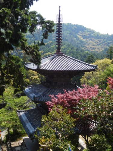 e0345320_12074090.jpg