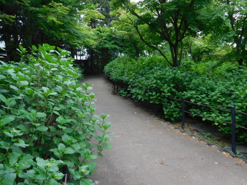 e0345320_15320111.jpg