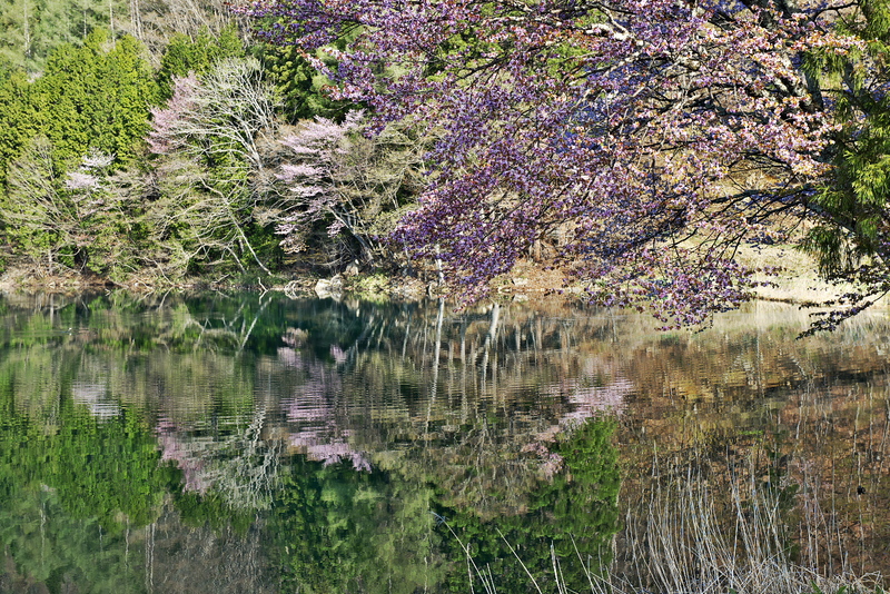 d0198522_064877.jpg