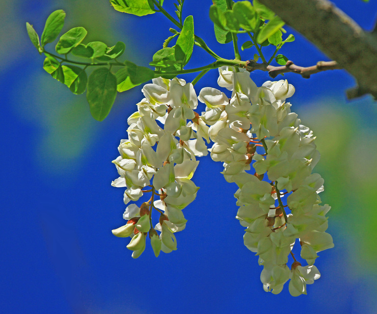 c0104227_20453824.jpg