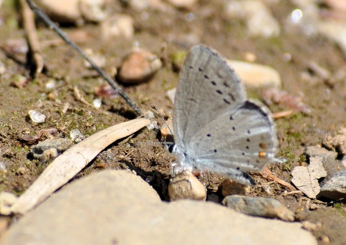 a0248728_2384093.jpg