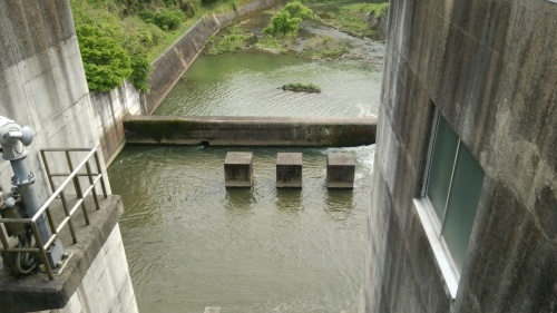 c0337631_07171031.jpg