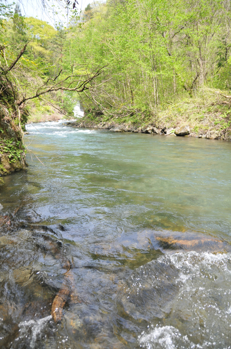 c0133133_17183170.jpg