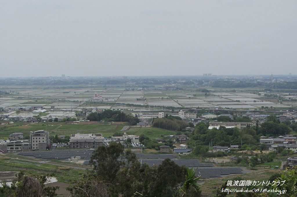 e0052135_17173399.jpg