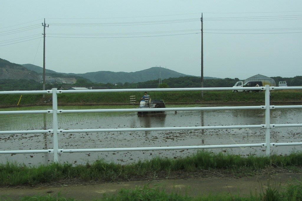 e0052135_1722585.jpg