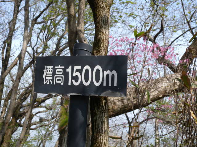e0272335_1511419.jpg