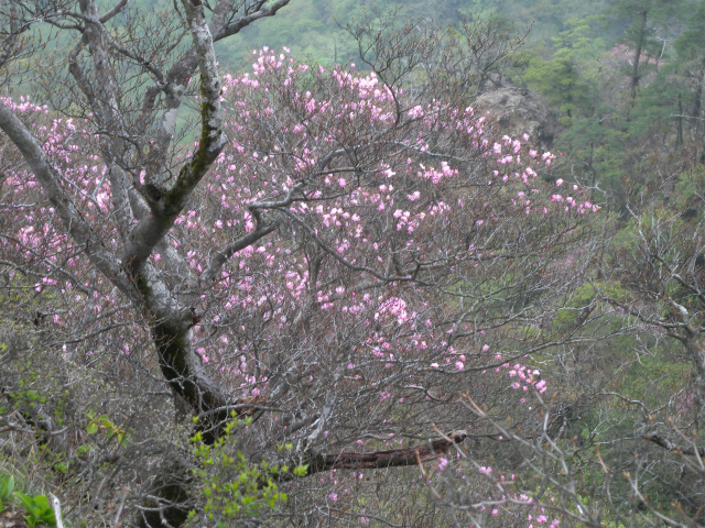 e0272335_155052.jpg