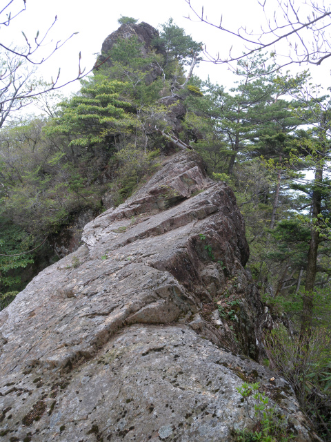 e0272335_16165855.jpg