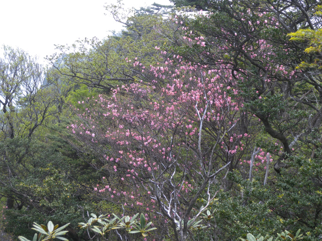 e0272335_16193172.jpg
