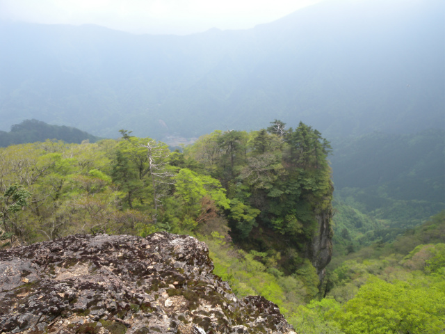 e0272335_1682244.jpg