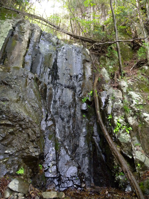 e0272335_173937.jpg