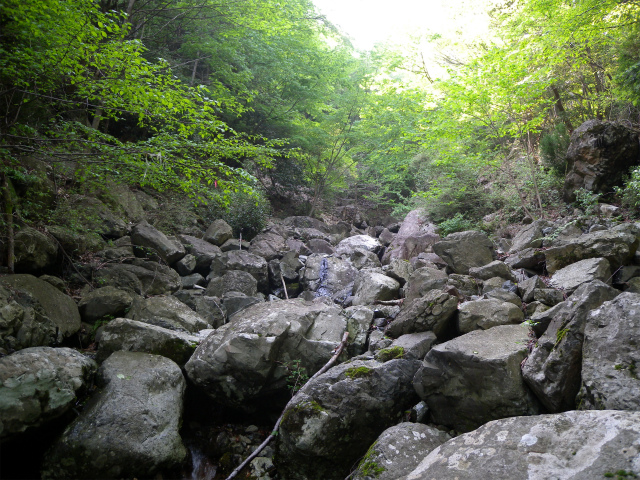 e0272335_17421953.jpg