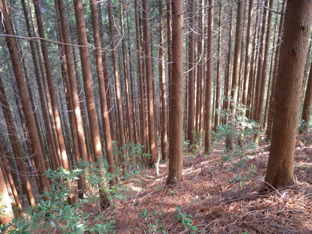 e0272335_17451150.jpg